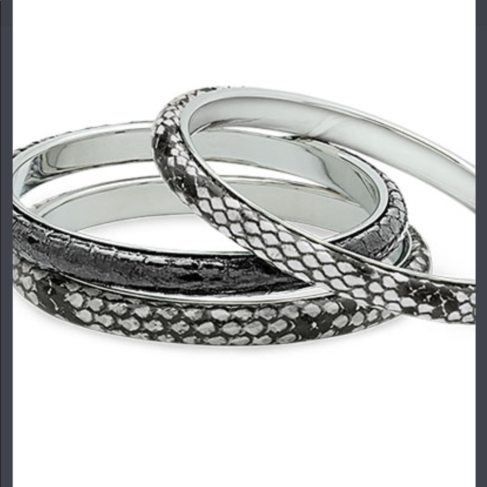 Ready Set Chic Premier Design - image 1